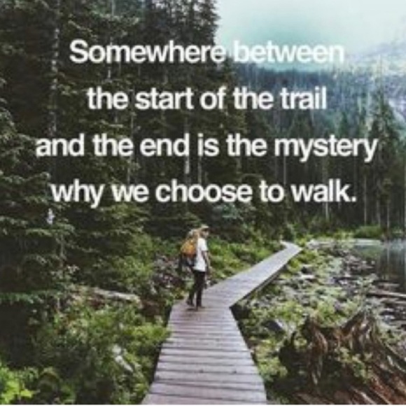 🐕 Vintage Hunting Dog Book Ends Sportsman Resin Rare EVC - Picture 14 of 16